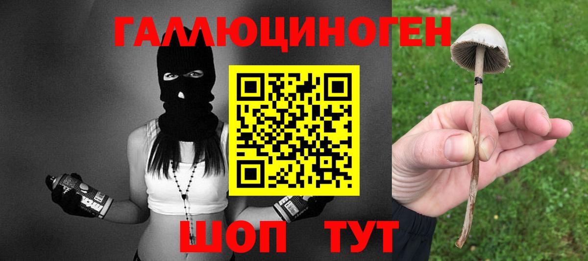 Галлюциногенные грибы мицелий  Вход с VPN  Каспийск 
