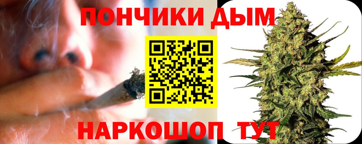 Каннабис план Каспийск
